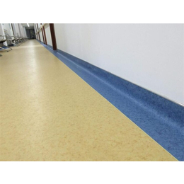 海南塑膠地板公司、海南塑膠地板、君衡(查看)