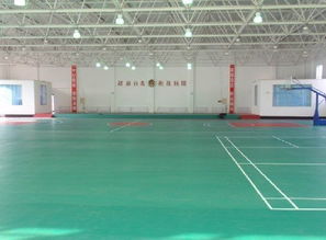 天津運(yùn)動(dòng)地板、廊坊PVC地板、唐山塑膠地板與滄州球場(chǎng)地板廠家圖片展示